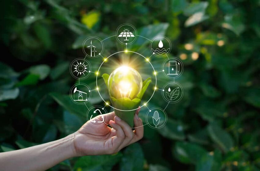 O papel da sustentabilidade no sucesso da transformação digital