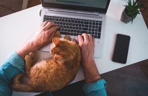 TECNOLOGIA – Notebooks recuperam mercado