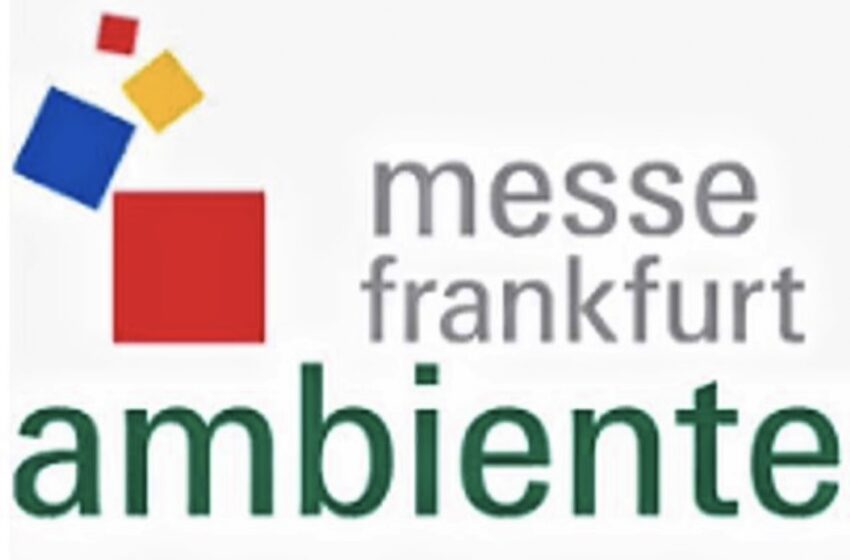 AMBIENTE: curadoria solutions